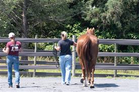 LR-WRF 08022025-Retreat-3213